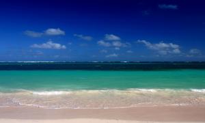 Chiusura uffici 09.08.2024 - 16.08.2024